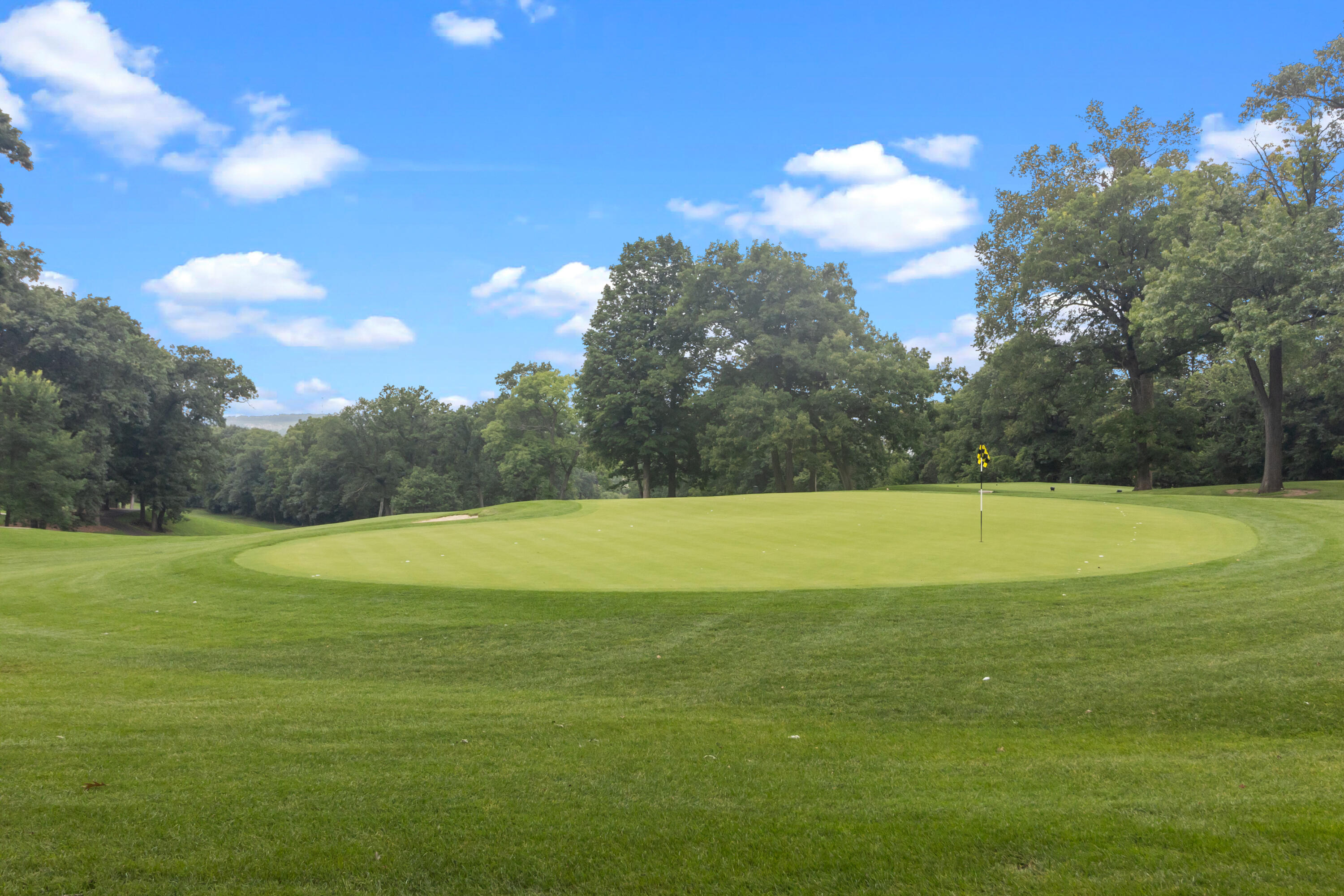 404 Deerpath West, Unit D Fontana, WI 53125 - Photo 16 of 28 View from deck.