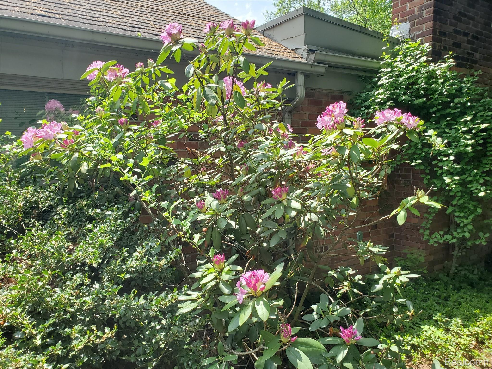 1230 Fox Chase Road Bloomfield Hills, MI 48301 - Photo 11 of 32 20210521_133206.jpg
