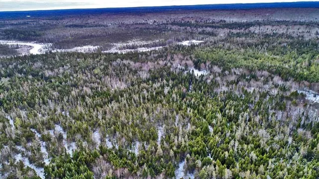 $49,500 | Lot 17 Fire Road, Linneus, ME 04730