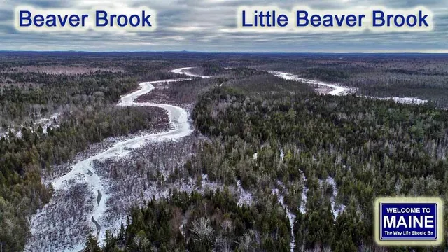 $49,500 | Lot 17 Fire Road, Linneus, ME 04730
