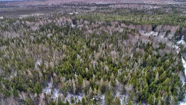 $49,500 | Lot 17 Fire Road, Linneus, ME 04730