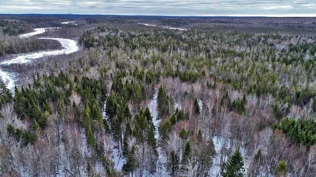 $49,500 | Lot 17 Fire Road, Linneus, ME 04730