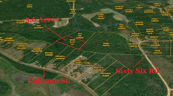 $45,000 | 0 Calhoun Street, Branchville, SC 29432