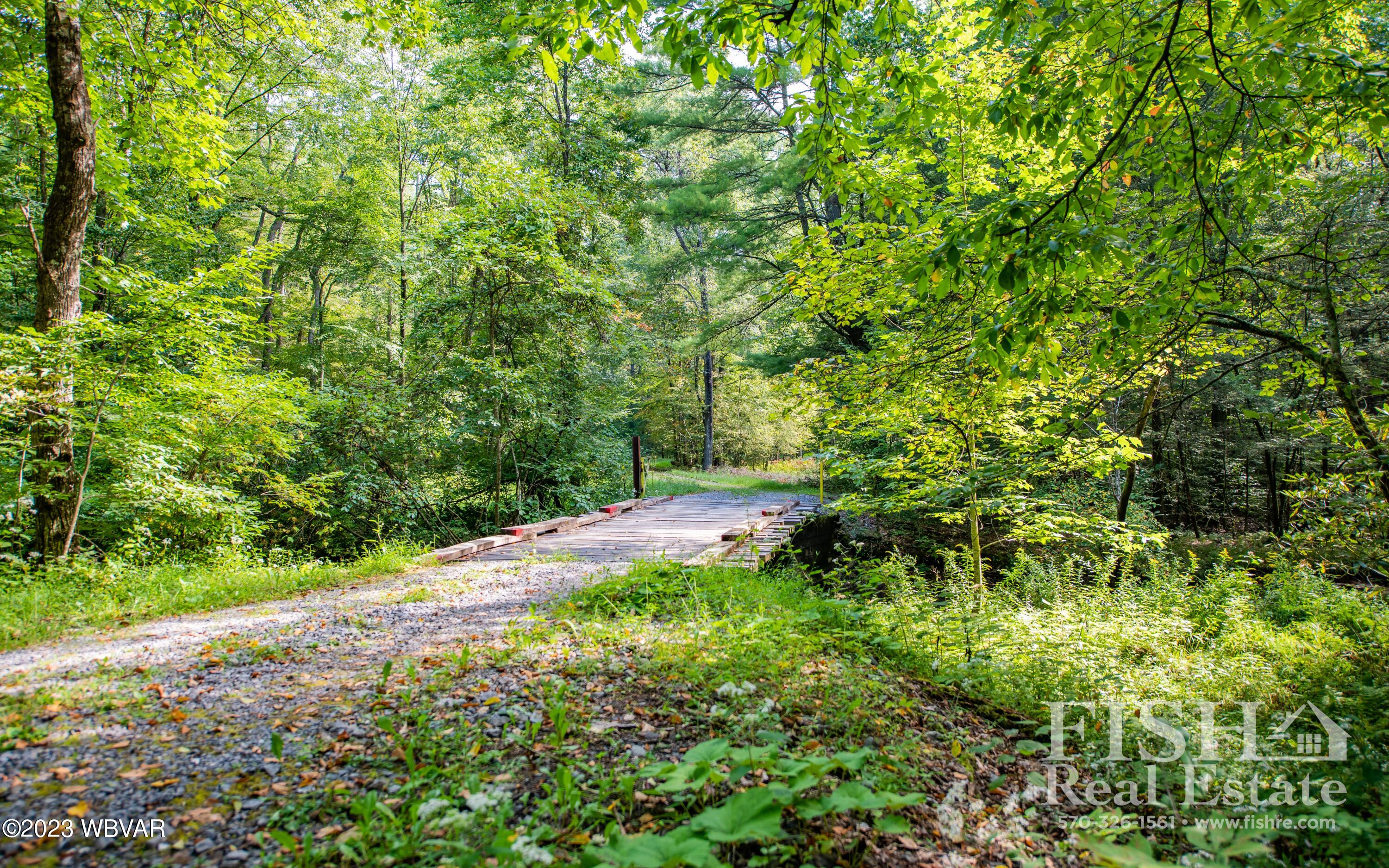 357 Hoagland Run Road Cogan Station, PA 17728 - Photo 3 of 39 Gallery Image 3