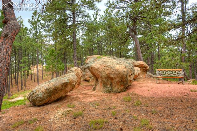4841 High Forest Road Colorado Springs, CO 80908 - Photo 1 of 1 Gallery Image 1
