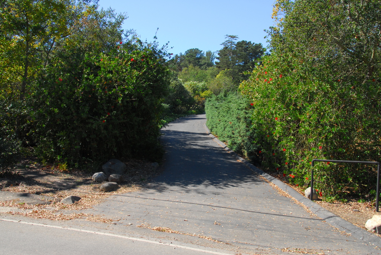 3155 Eucalyptus Hill Road Montecito, CA 93108 - Photo 8 of 10 a view of path and green space