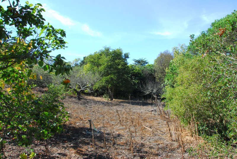 3155 Eucalyptus Hill Road Montecito, CA 93108 - Photo 9 of 10 a view of outdoor space and yard