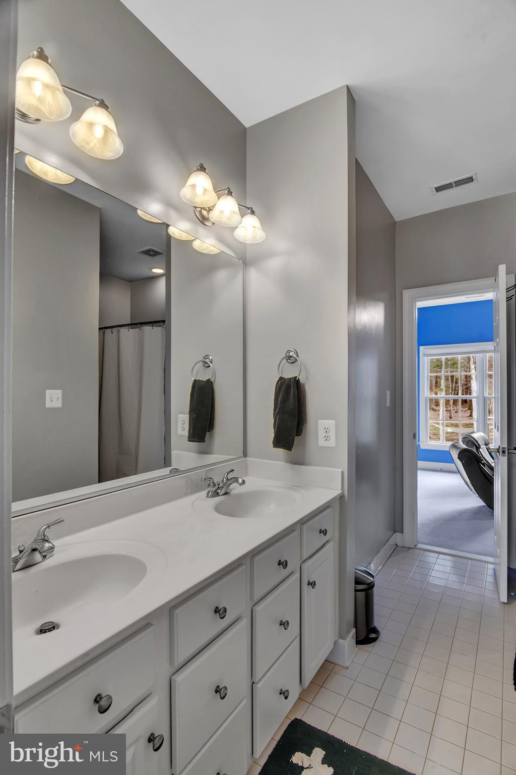 15321 Riding Club Drive Haymarket, VA 20169 - Photo 53 of 98 Jack and Jill bath
