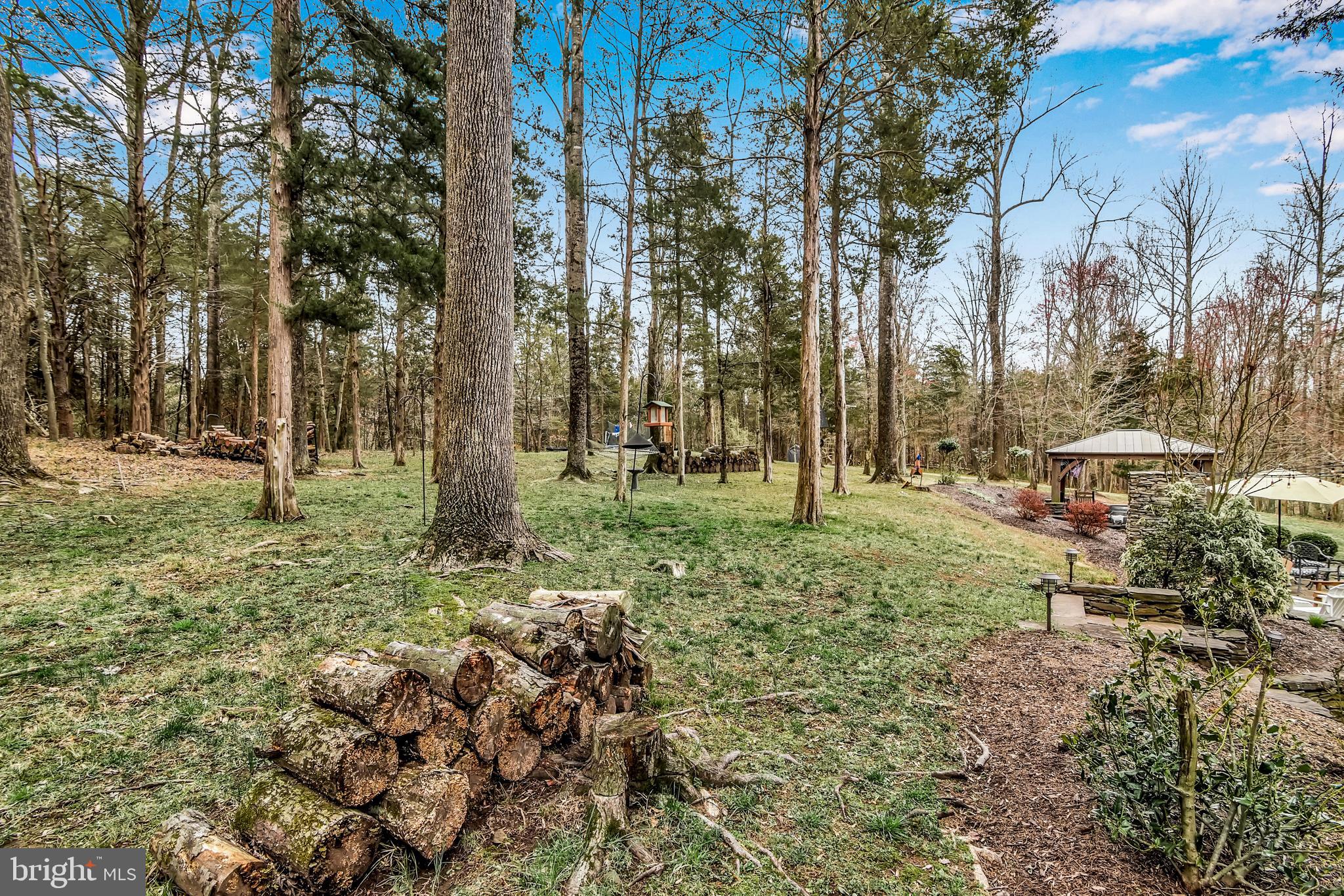 15321 Riding Club Drive Haymarket, VA 20169 - Photo 80 of 98