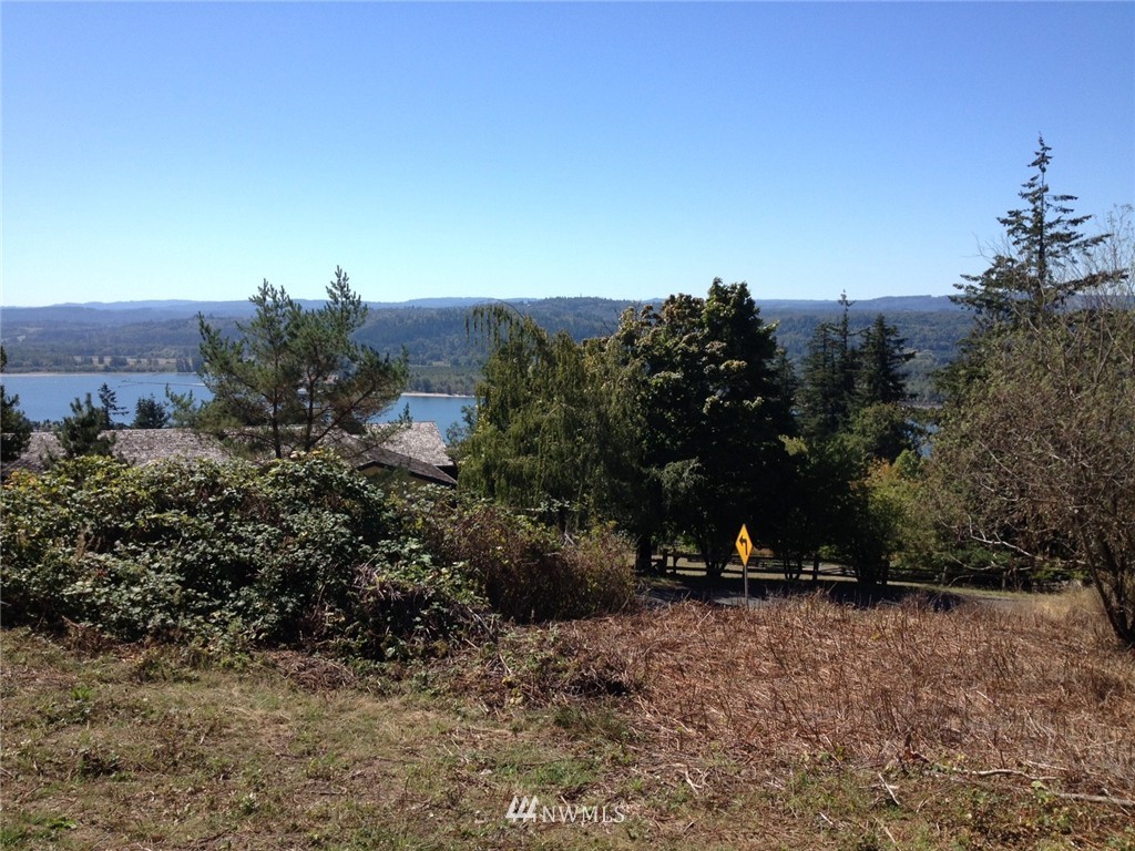 0 Taylor Road Kalama, WA 98625 - Photo 1 of 12 Gallery Image 1