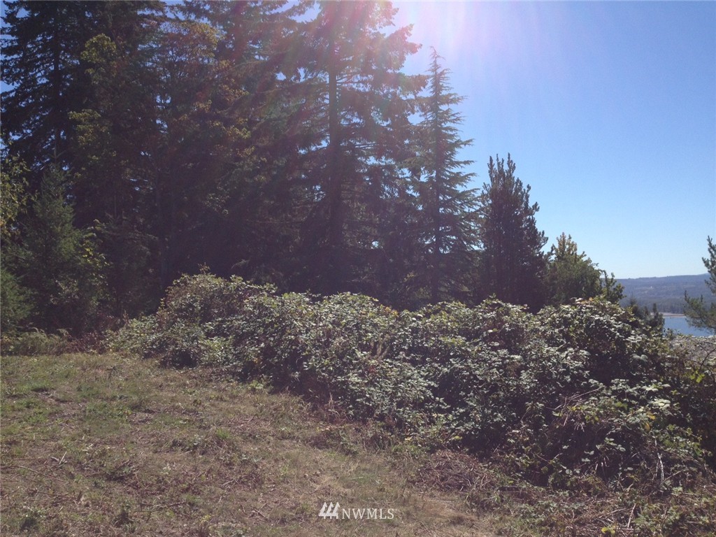 0 Taylor Road Kalama, WA 98625 - Photo 2 of 12 Gallery Image 2