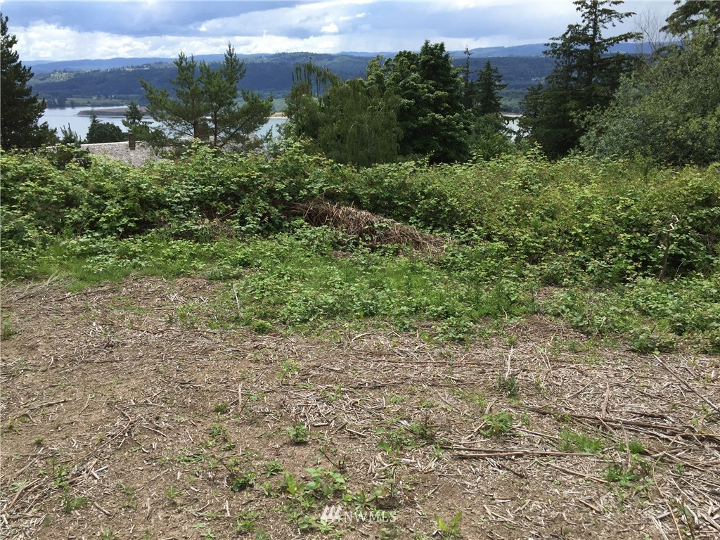 0 Taylor Road Kalama, WA 98625 - Photo 11 of 12 Gallery Image 11