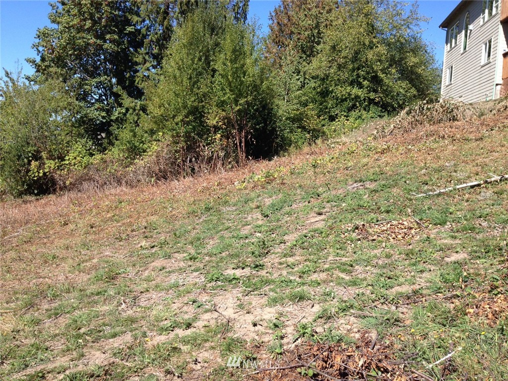 0 Taylor Road Kalama, WA 98625 - Photo 3 of 12 Gallery Image 3