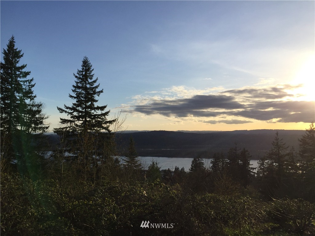 0 Taylor Road Kalama, WA 98625 - Photo 4 of 12 Gallery Image 4