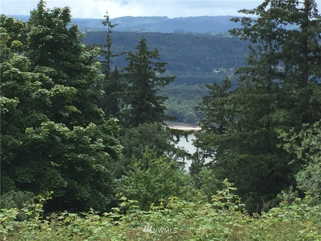 0 Taylor Road Kalama, WA 98625 - Photo 9 of 12 Gallery Image 9