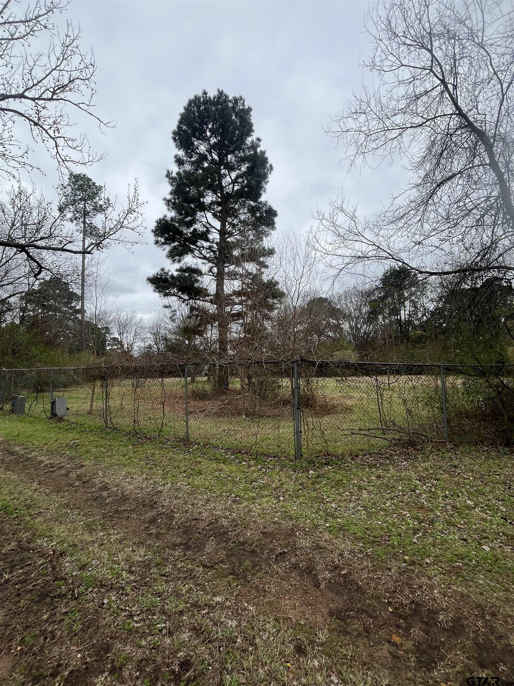 3614 Stone Road Kilgore, TX 75662 - Photo 5 of 8 a view of backyard with green space