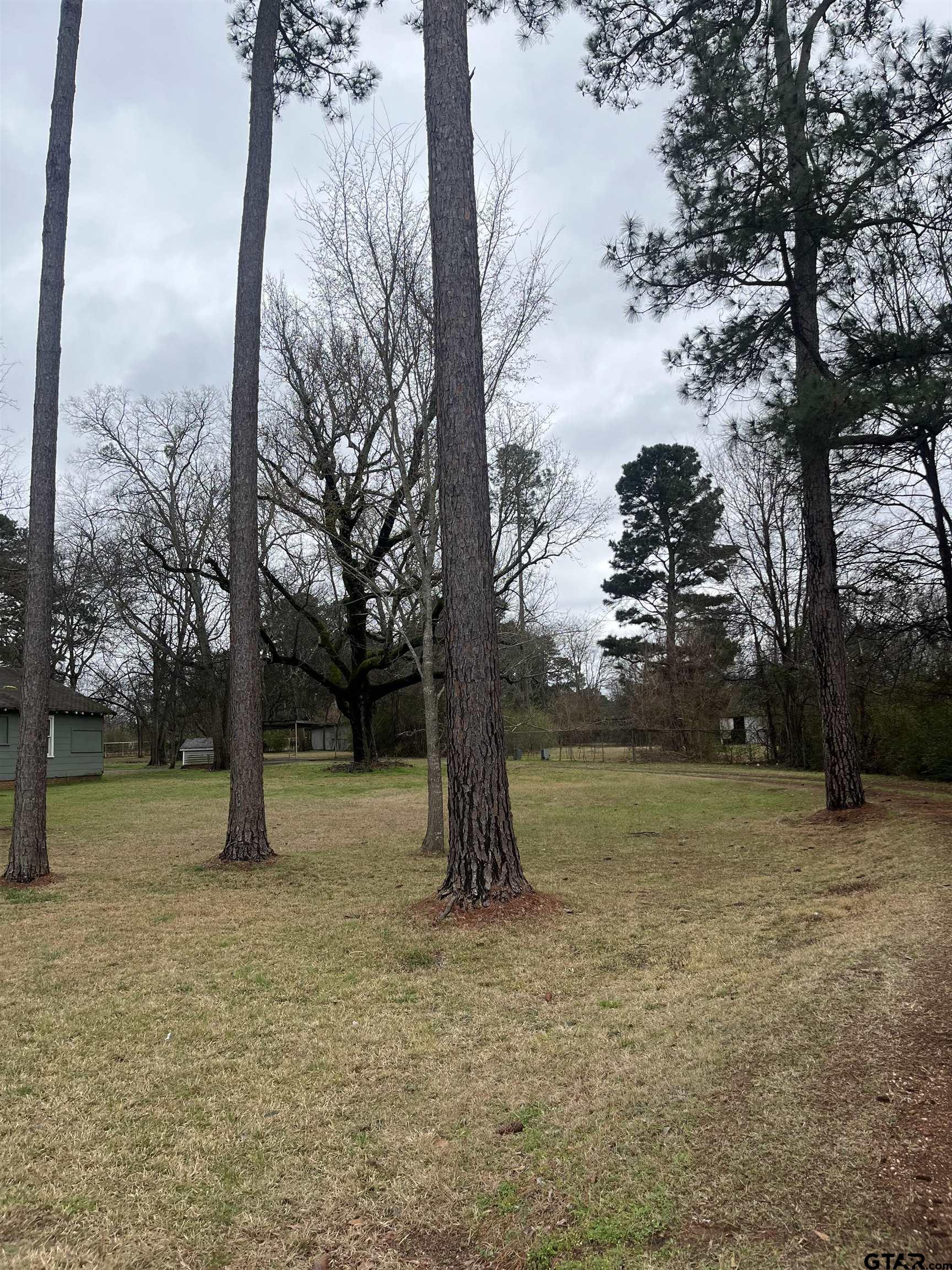 3614 Stone Road Kilgore, TX 75662 - Photo 6 of 8 a view of outdoor space with garden