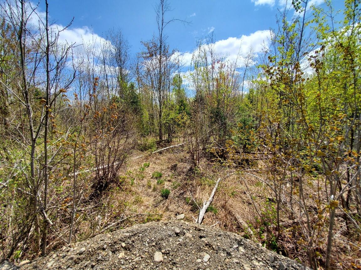 Lot#2 Cone Road Amity, ME 04471 - Photo 10 of 20