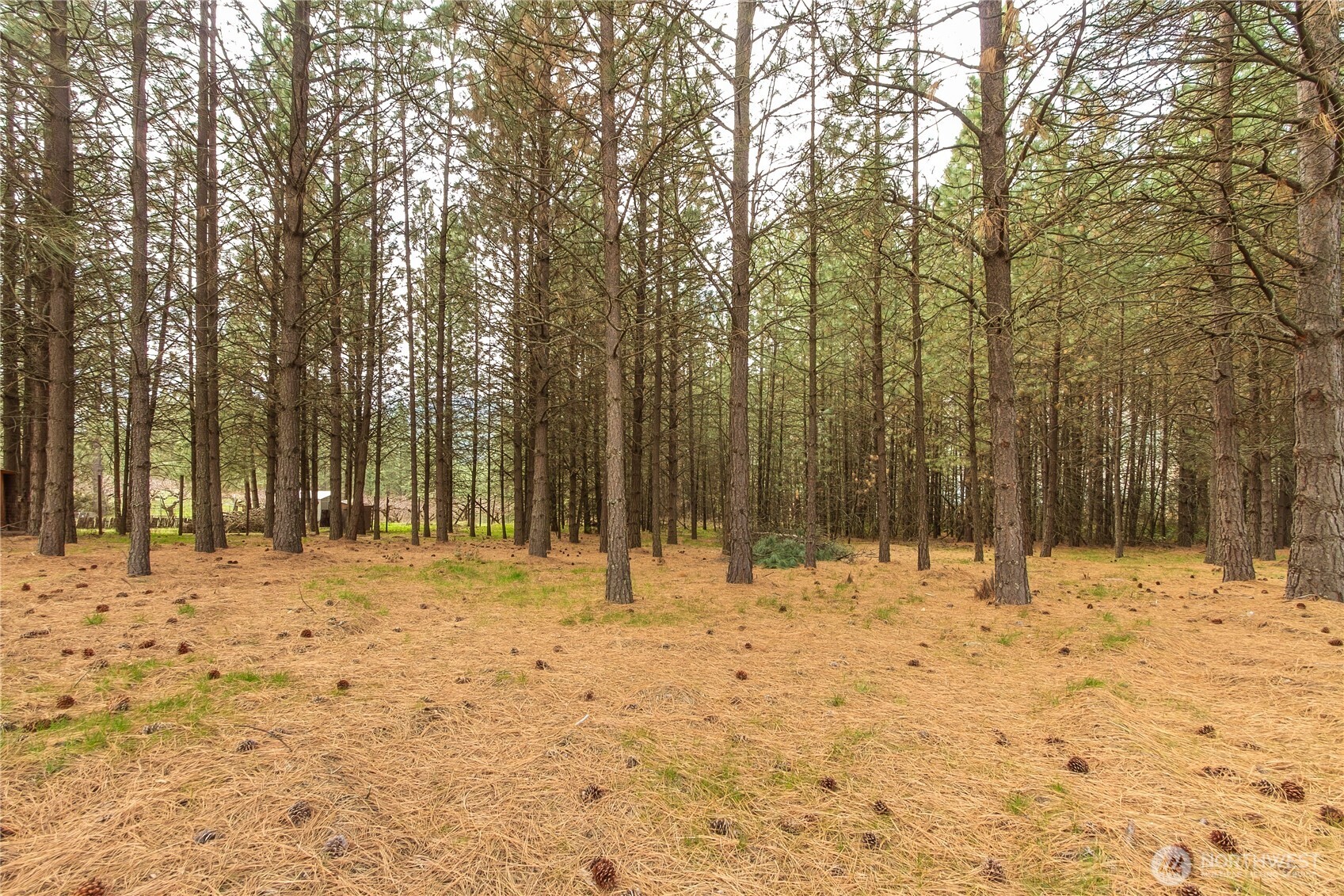 1274 Peachcrest Road, Unit F Kettle Falls, WA 99141 - Photo 6 of 24
