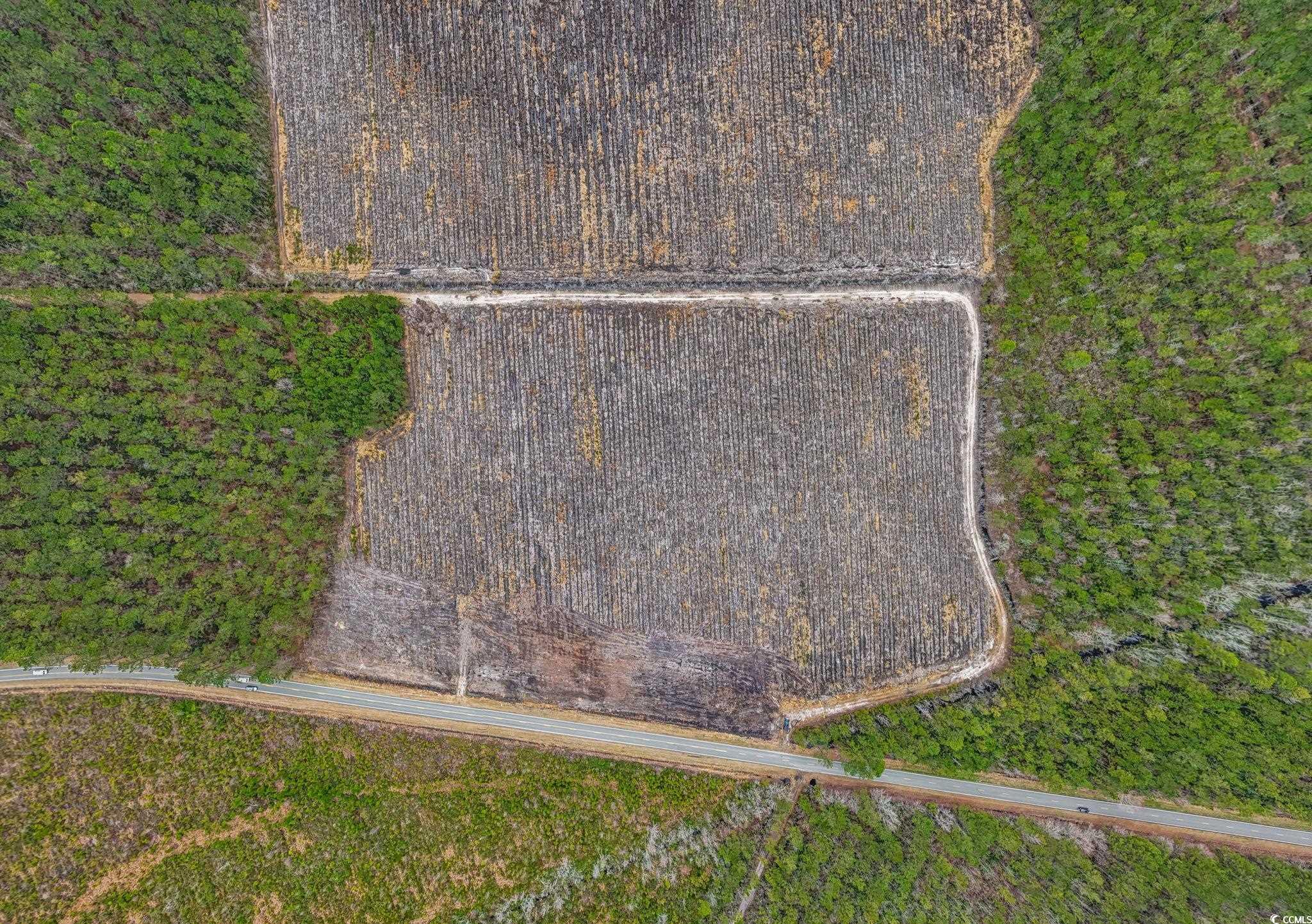 5610 Joyner Swamp Road Aynor, SC 29511 - Photo 8 of 19