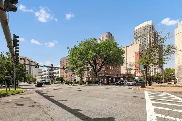 a view of a field of grass and trees