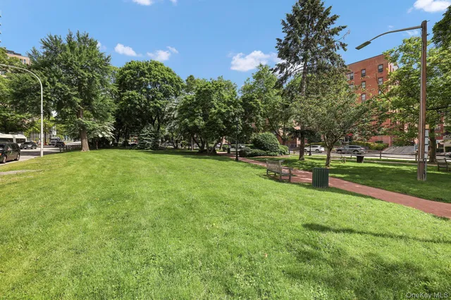 a view of a park with large trees