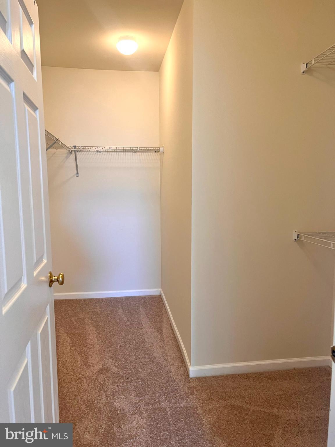 25205 Larks Terrace Chantilly, VA 20152 - Photo 17 of 28 Spacious closet with ample storage potential.