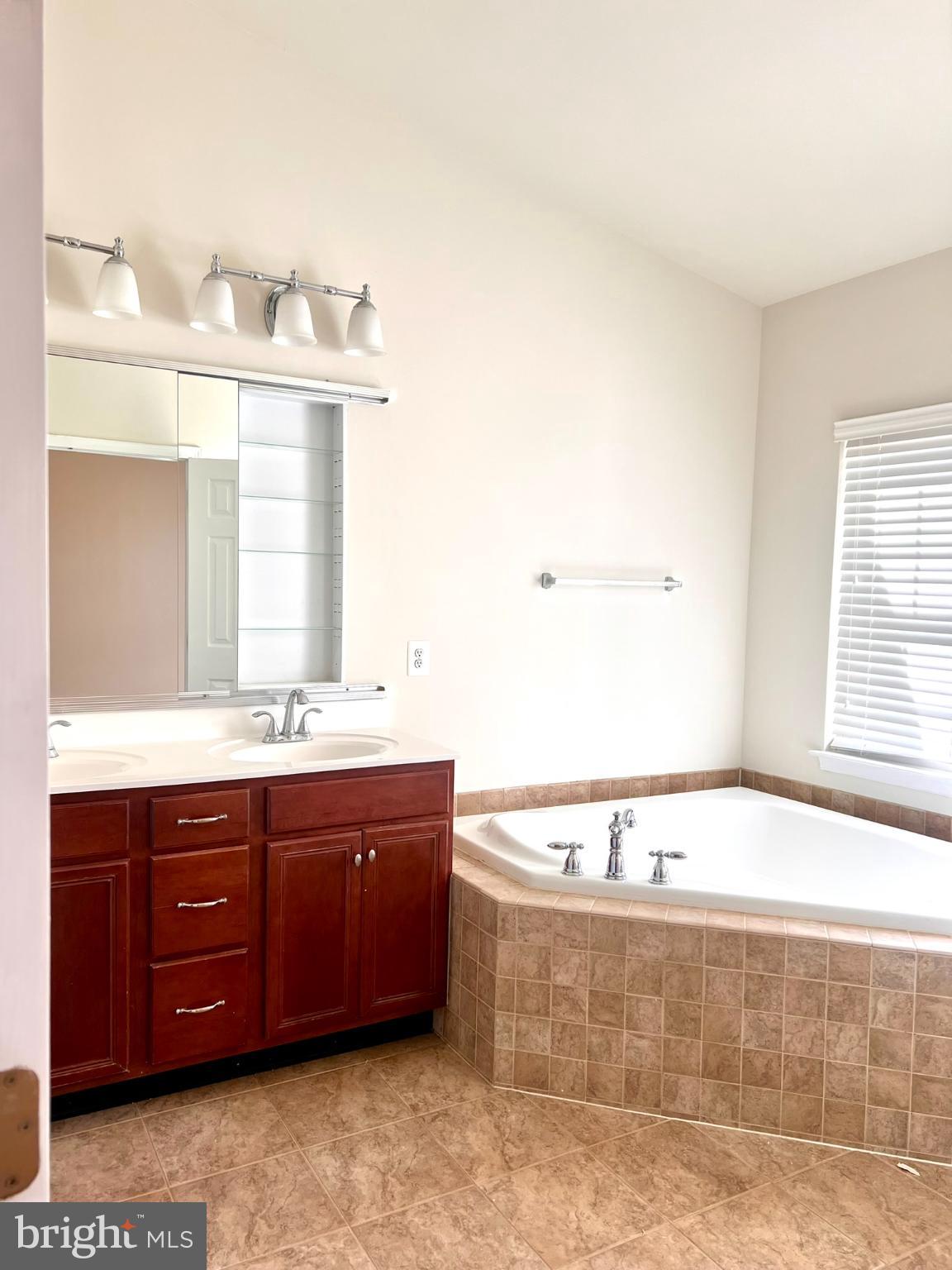 25205 Larks Terrace Chantilly, VA 20152 - Photo 21 of 28 Elegant bathroom with a relaxing tub.
