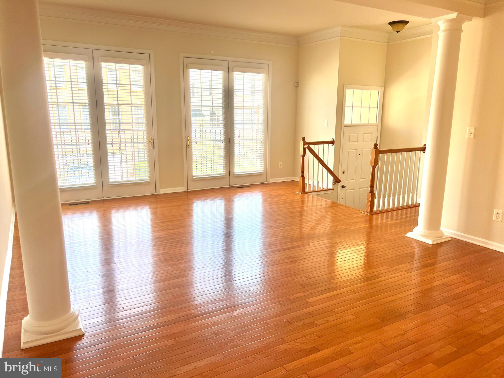 25205 Larks Terrace Chantilly, VA 20152 - Photo 9 of 28 Spacious, sunlit living area with elegance.