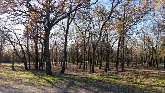 a backyard of a house with lots of trees