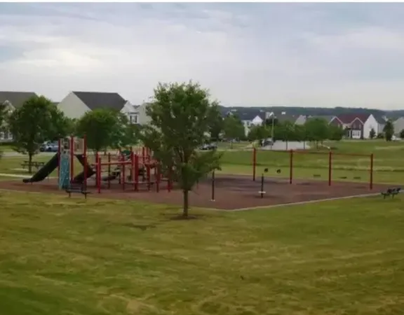 a view of a park with large trees