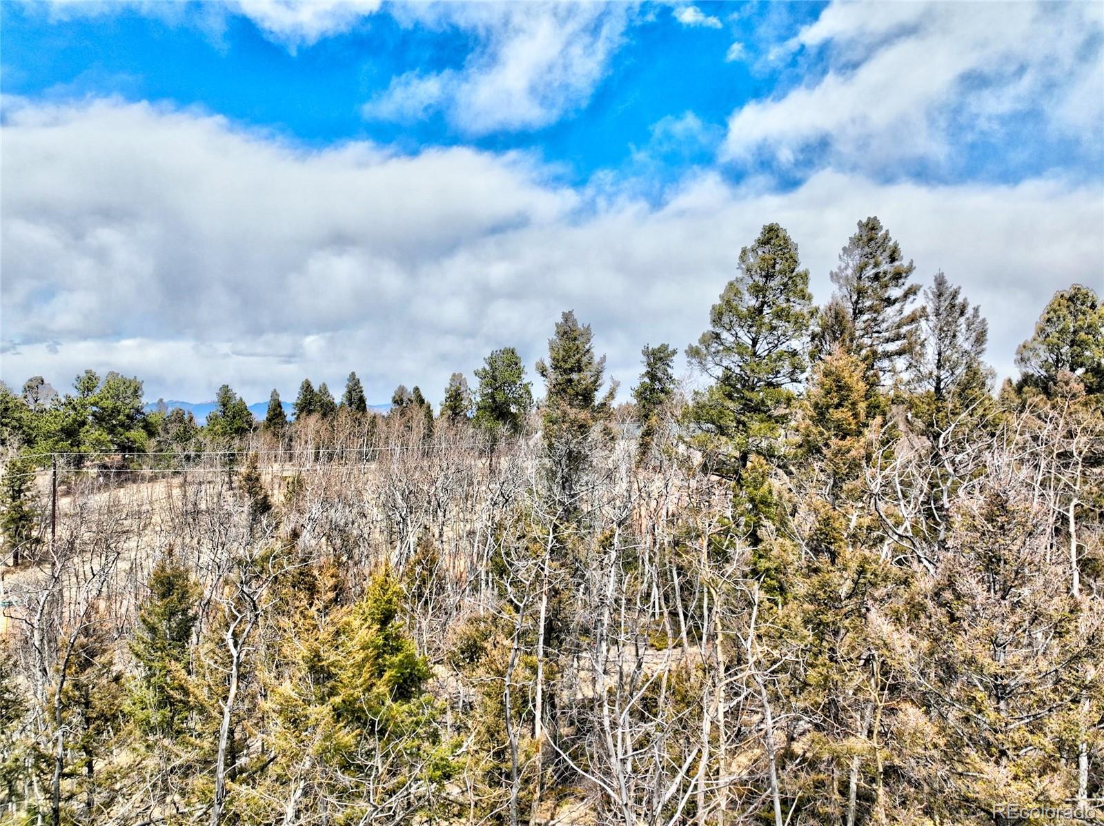246 Elk View Road Florissant, CO 80816 - Photo 2 of 10 Gallery Image 2