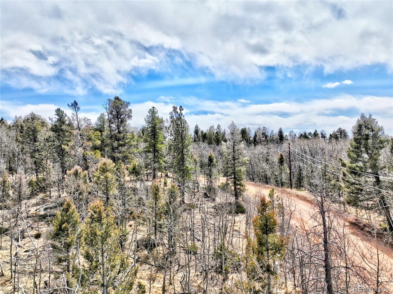 246 Elk View Road Florissant, CO 80816 - Photo 3 of 10 Gallery Image 3