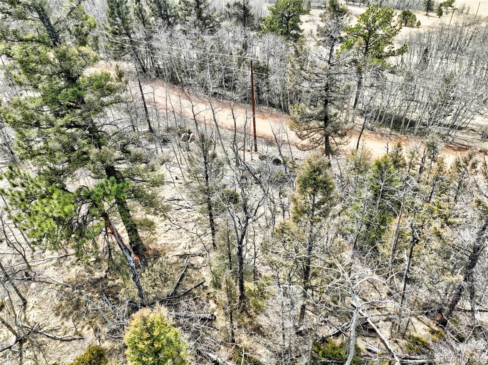 246 Elk View Road Florissant, CO 80816 - Photo 5 of 10 Gallery Image 5