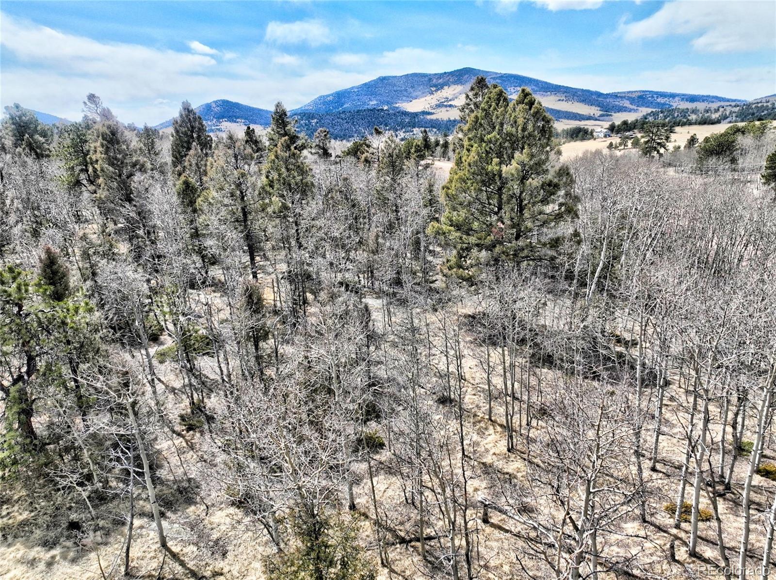 246 Elk View Road Florissant, CO 80816 - Photo 7 of 10 Gallery Image 7