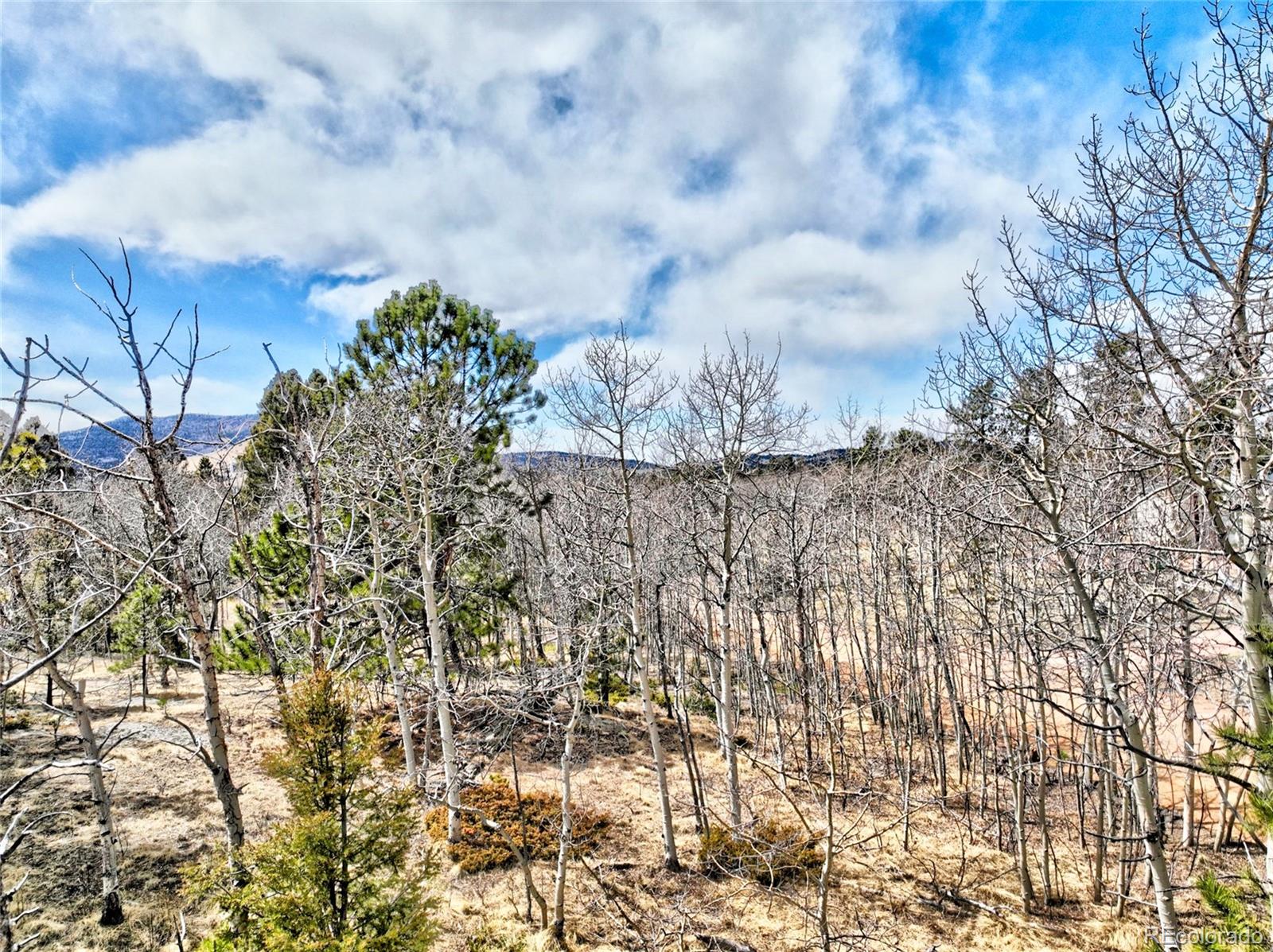 246 Elk View Road Florissant, CO 80816 - Photo 8 of 10 Gallery Image 8