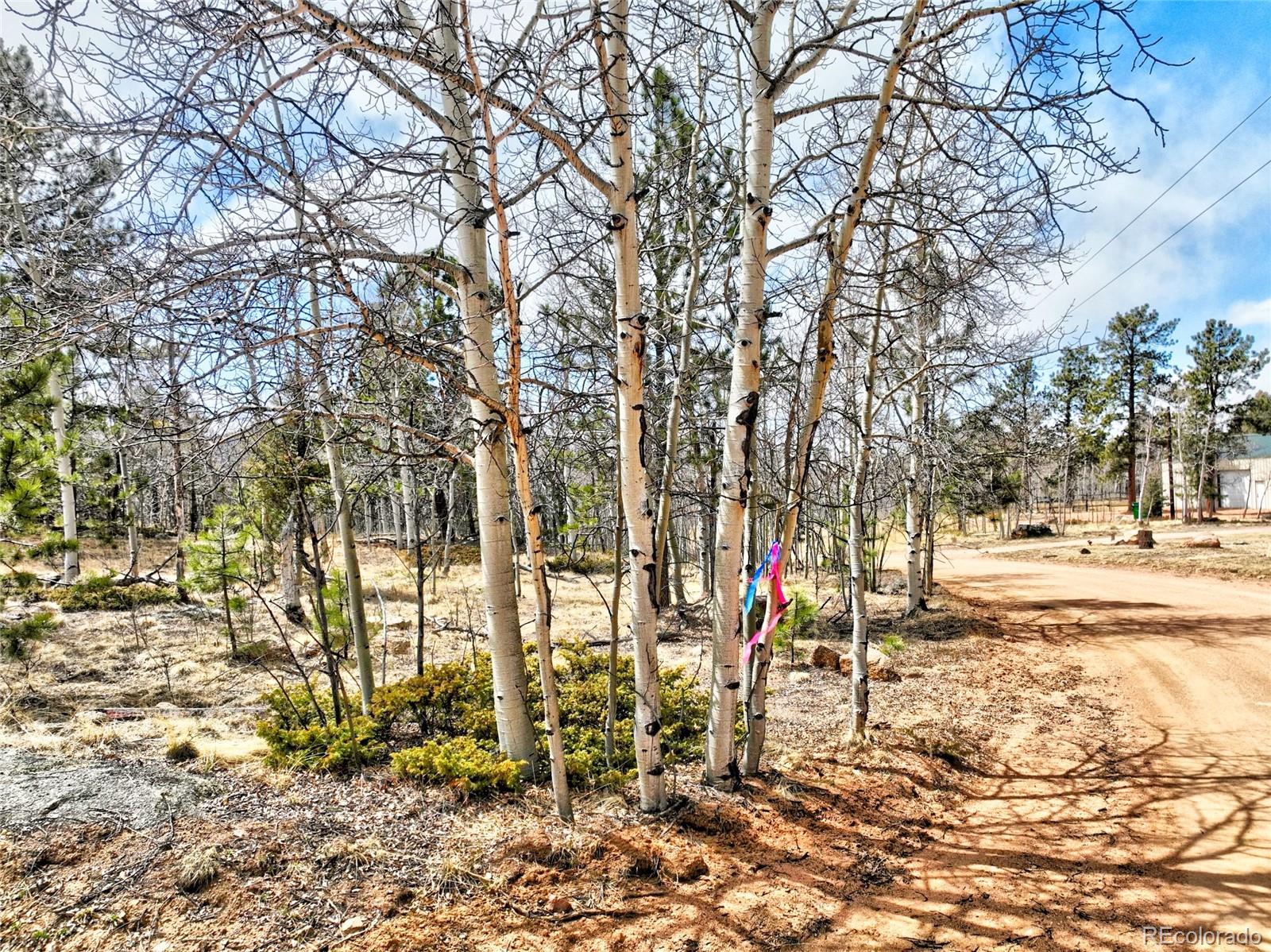 246 Elk View Road Florissant, CO 80816 - Photo 9 of 10 Gallery Image 9