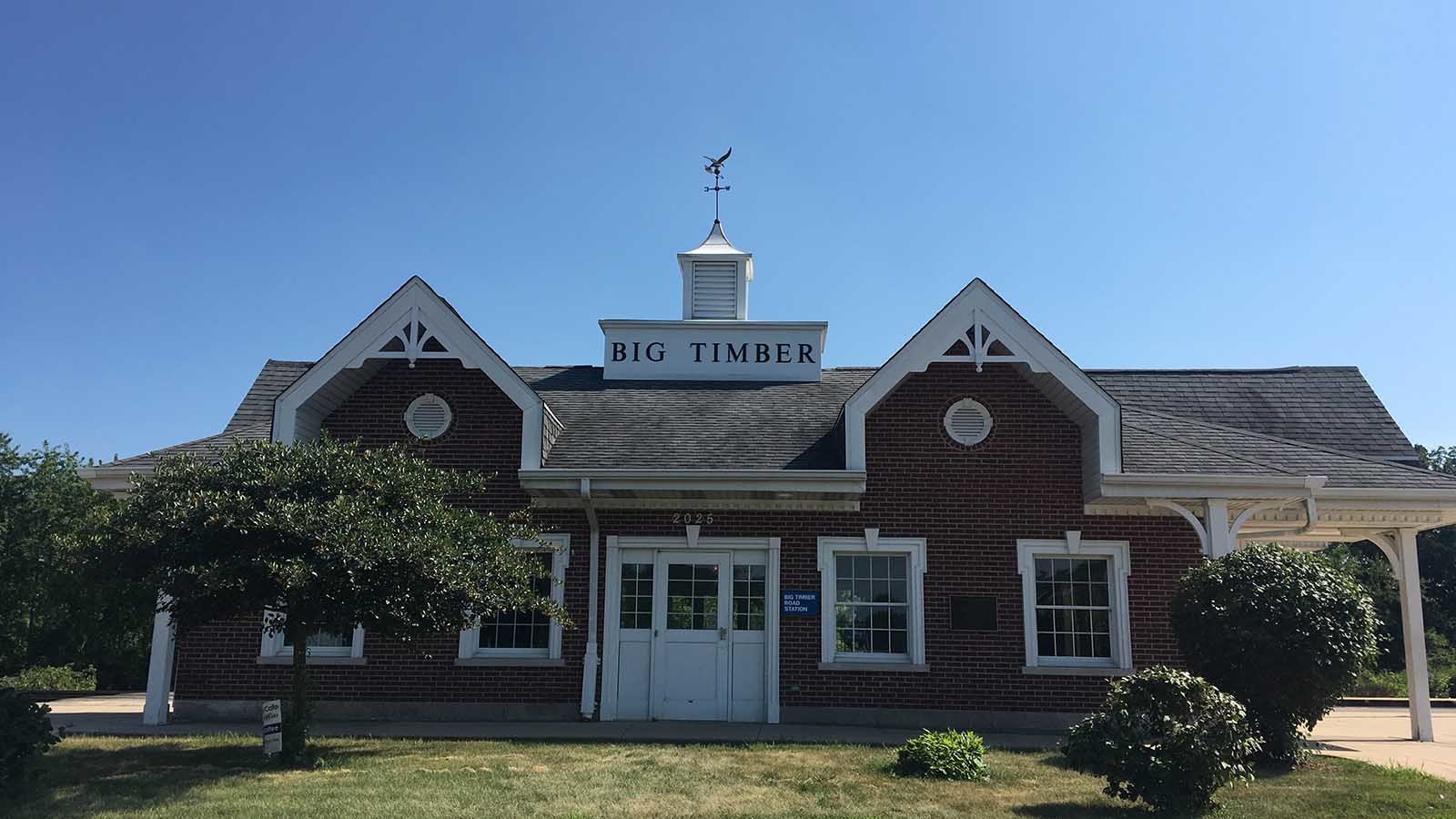 272 Snowdrop Lane Elgin, IL 60124 - Photo 46 of 54 front view of a house with a yard