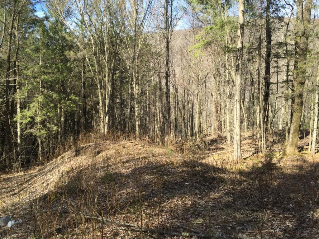 1073 Codding Hollow Road Waterville, VT 05492 - Photo 1 of 26