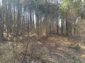 1073 Codding Hollow Road Waterville, VT 05492 - Photo 4 of 26