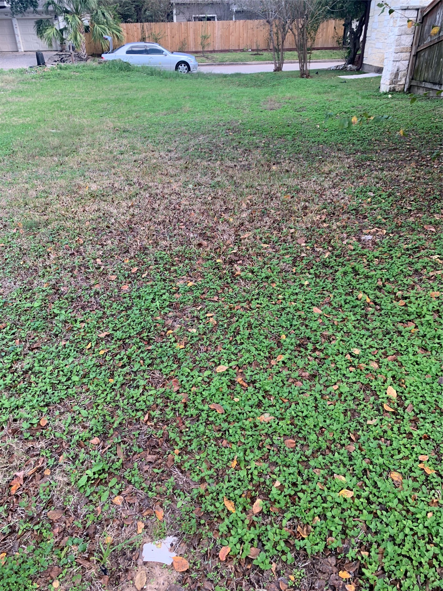 1307 Moorwick Lane Houston, TX 77043 - Photo 2 of 6 a backyard of a house with lots of green space