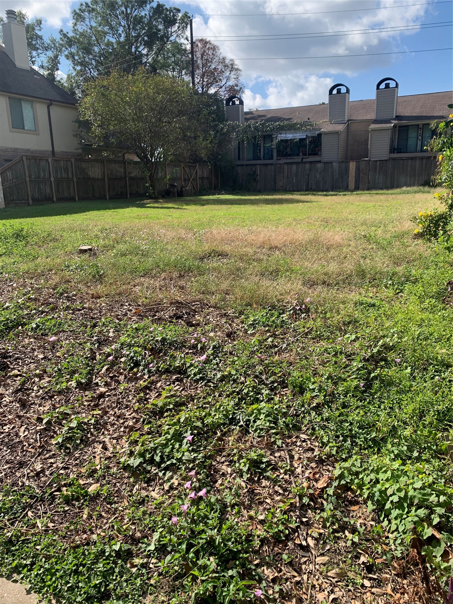 1307 Moorwick Lane Houston, TX 77043 - Photo 5 of 6 a view of outdoor space and yard