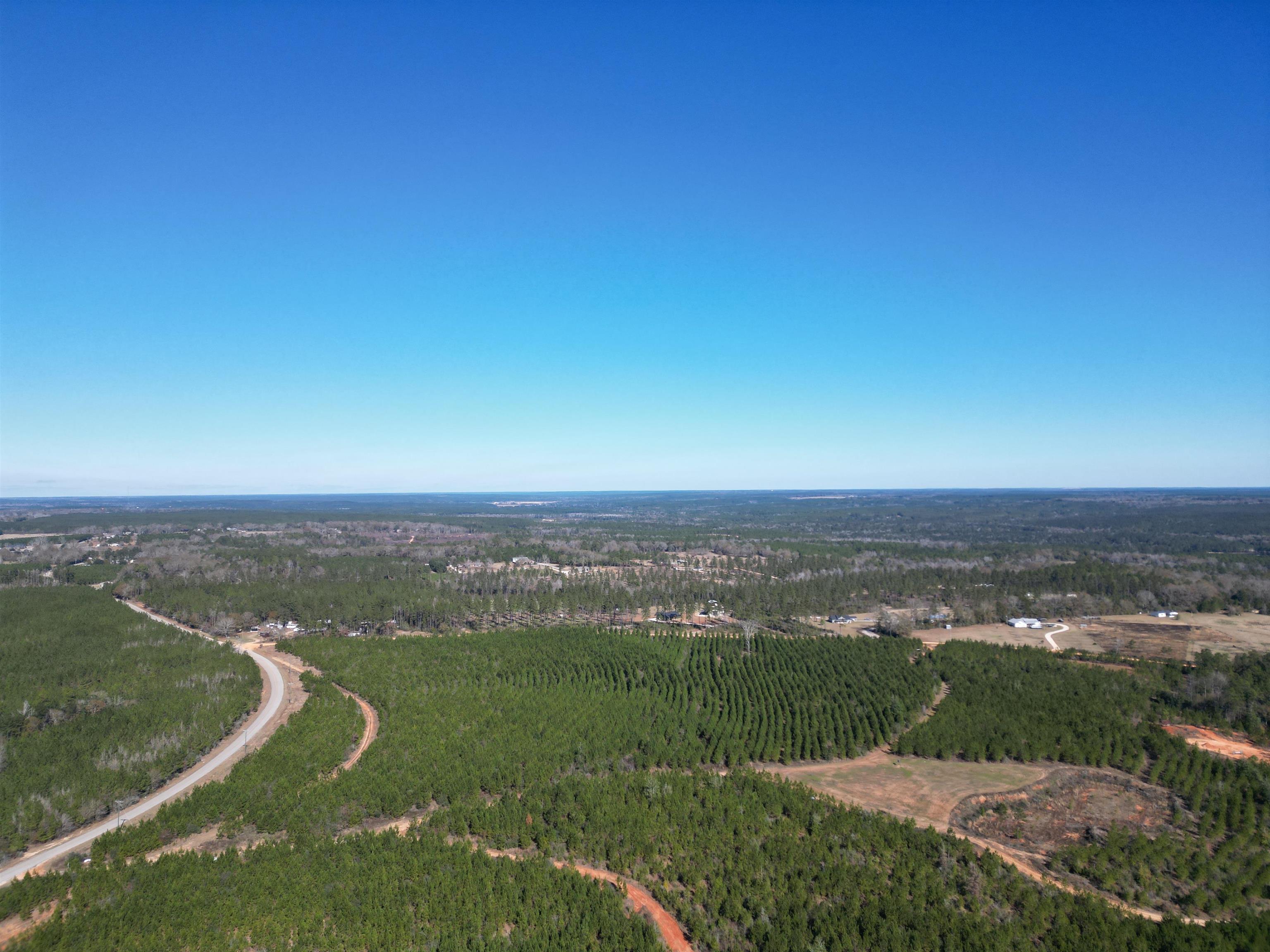 Lot 5 Robinsonville Road Atmore, AL 36502 - Photo 6 of 18