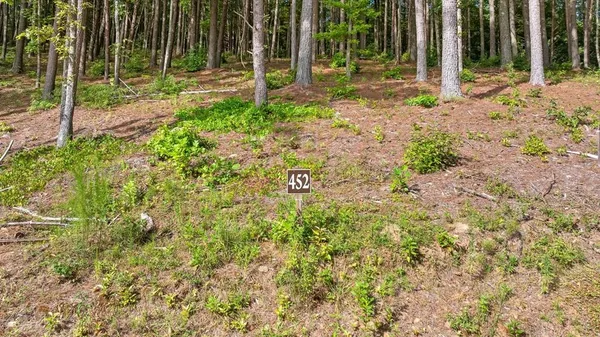 $89,900 | Lot 452 Woodward Way, Talking Rock, GA 30175