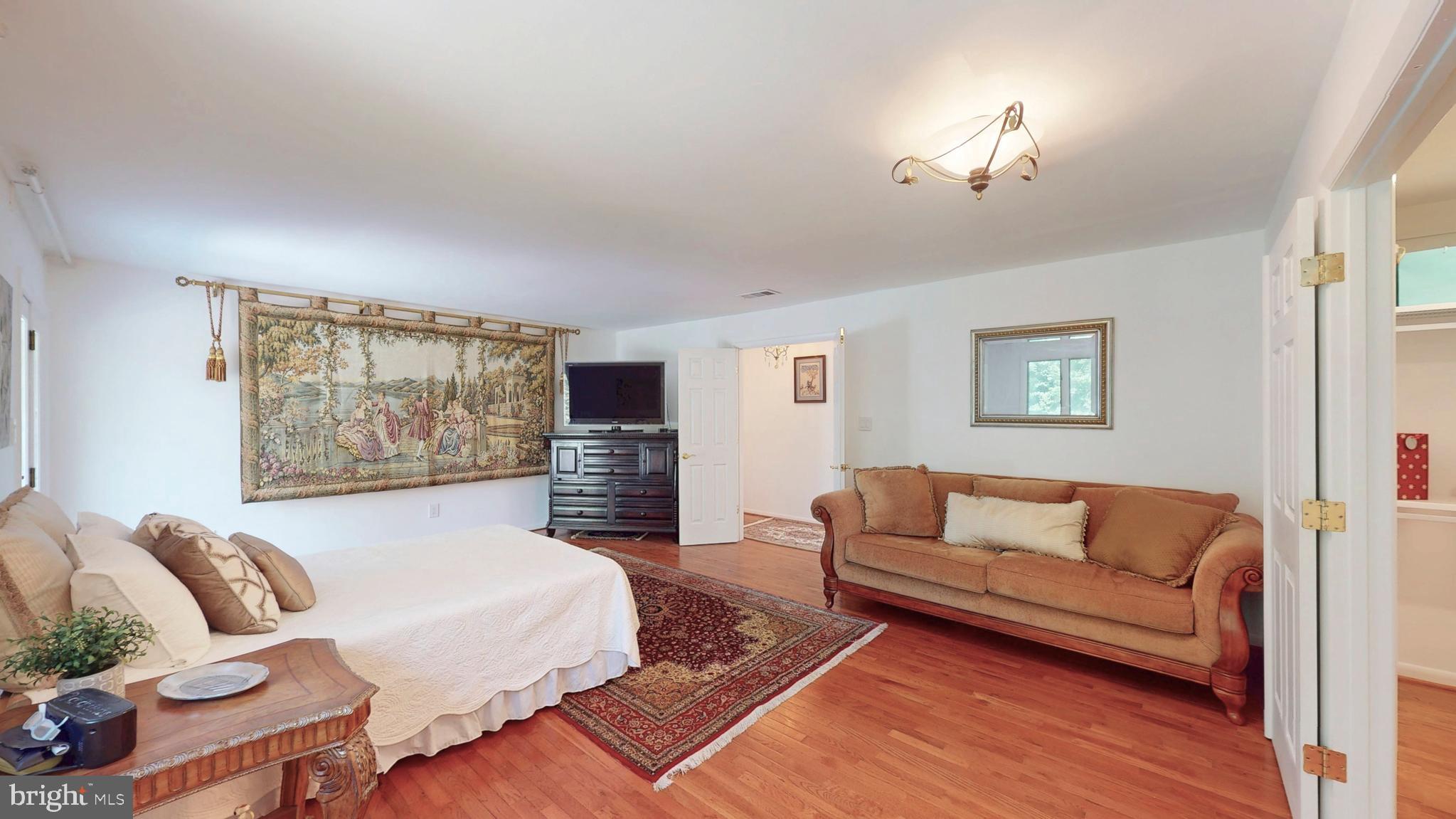 317 Springvale Road Great Falls, VA 22066 - Photo 30 of 98 a spacious bedroom with a bed a couch and potted plant on the dresser