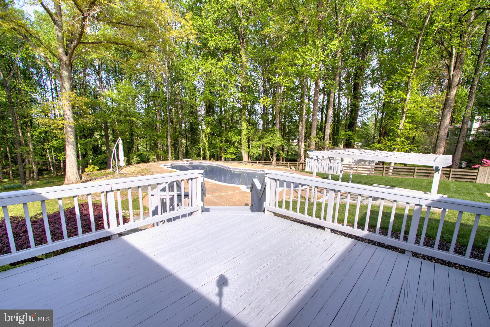 317 Springvale Road Great Falls, VA 22066 - Photo 80 of 98