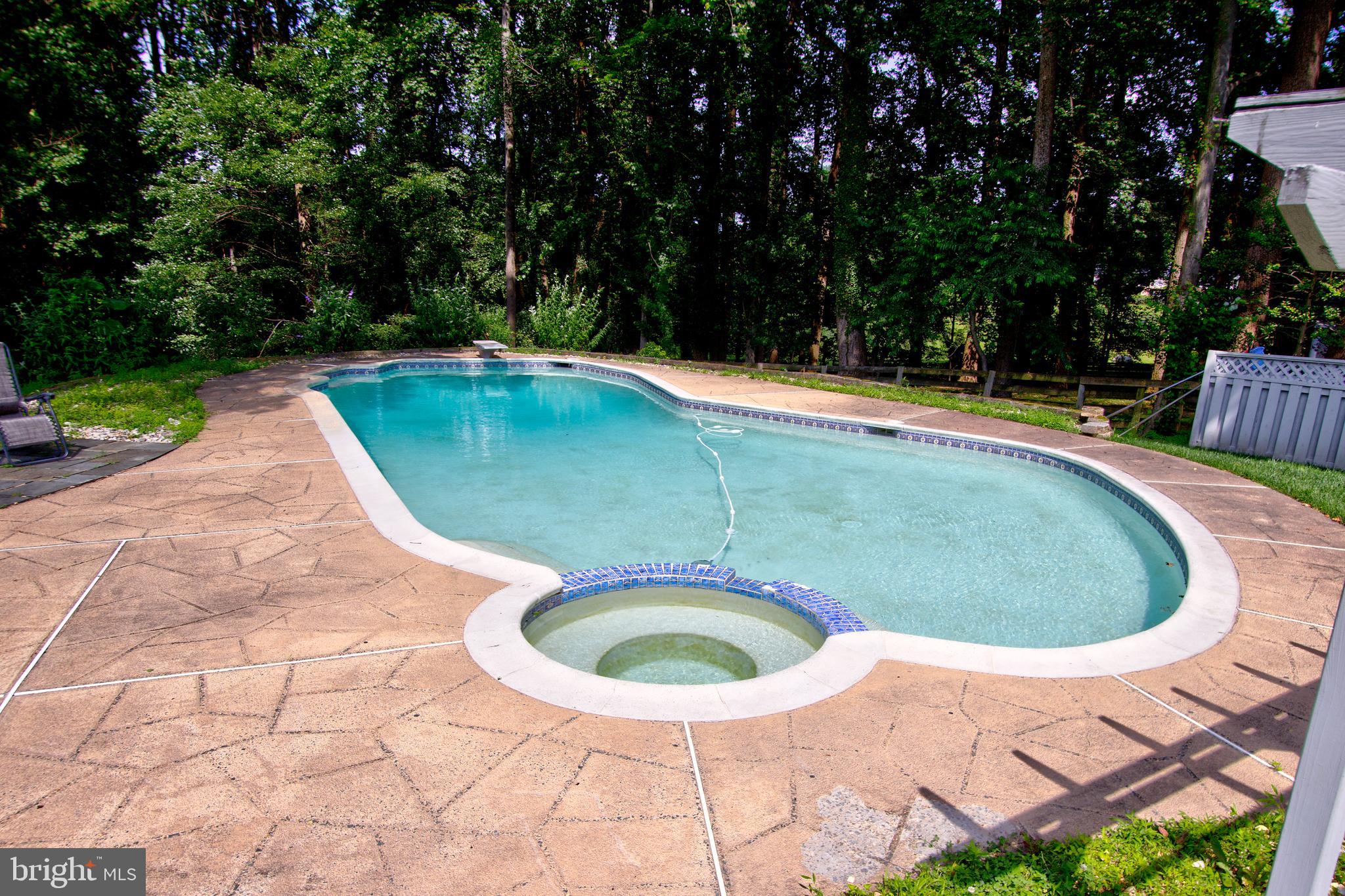 317 Springvale Road Great Falls, VA 22066 - Photo 84 of 98 a view of outdoor space and swimming pool