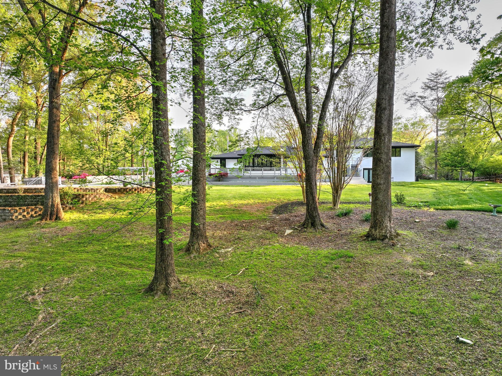 317 Springvale Road Great Falls, VA 22066 - Photo 88 of 98