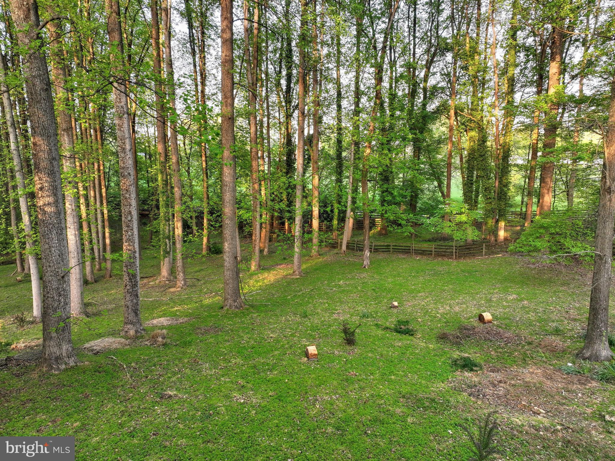 317 Springvale Road Great Falls, VA 22066 - Photo 89 of 98 a green field with lots of trees
