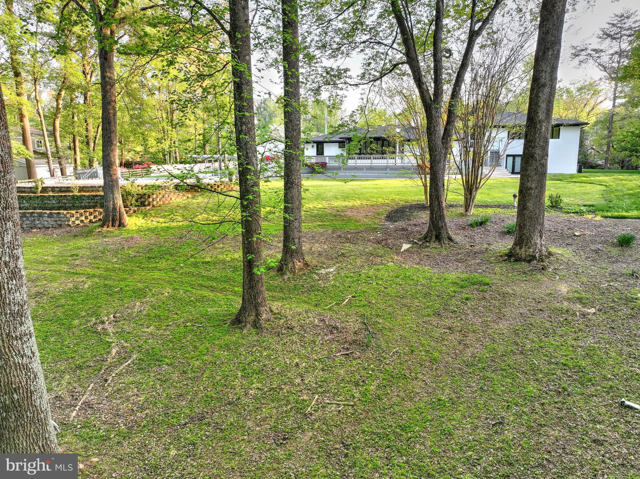 317 Springvale Road Great Falls, VA 22066 - Photo 90 of 98